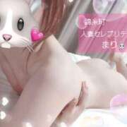 ヒメ日記 2026/09/15 14:00 投稿 まり 錦糸町人妻セレブリティ（ユメオト）