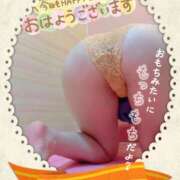 ヒメ日記 2025/12/28 07:09 投稿 光 かぐや姫