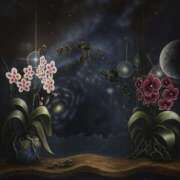 ヒメ日記 2026/02/02 18:32 投稿 聖/いぶ・全身性感帯 Muteki Platinum