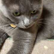 ヒメ日記 2025/12/27 13:03 投稿 西村 祐子 熟女パラダイス鶯谷店(カサブランカグループ)