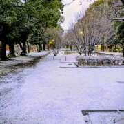 ヒメ日記 2026/02/08 18:55 投稿 西村 祐子 熟女パラダイス鶯谷店(カサブランカグループ)