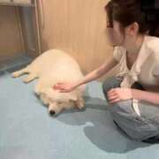 ヒメ日記 2026/02/14 23:46 投稿 春風かのん ウルトラブレイズ