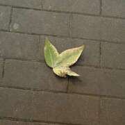 ありあ ? タレント倶楽部