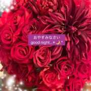 ヒメ日記 2026/03/12 04:52 投稿 はつみ 熟女総本店