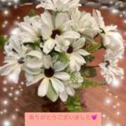 ヒメ日記 2026/06/17 07:32 投稿 はつみ 熟女総本店