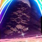 ヒメ日記 2026/02/12 09:29 投稿 はおり 丸妻 横浜本店