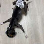 ヒメ日記 2025/12/20 09:56 投稿 すず 千葉柏ちゃんこ