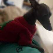 ヒメ日記 2025/12/25 09:57 投稿 すず 千葉柏ちゃんこ