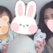 すず 二日酔い祭り 千葉柏ちゃんこ