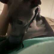 すず いじけ犬 千葉柏ちゃんこ