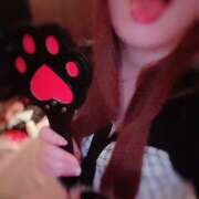 ヒメ日記 2025/12/22 12:50 投稿 なこ PERSONA（ペルソナ）