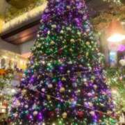 ヒメ日記 2025/12/27 17:51 投稿 みよ 名古屋名駅・栄サンキュー