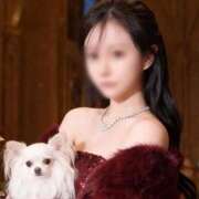 ヒメ日記 2025/12/26 23:38 投稿 藤原しずか ウルトラロイヤル