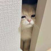 ヒメ日記 2026/02/05 15:51 投稿 ひま先生 美少女制服学園CLASSMATE　五反田校