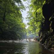 ねあ お礼日記🩷 宇都宮 Playlist