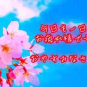 青葉 次は・・・💗 昼顔妻 五反田店