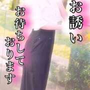 ヒメ日記 2026/04/10 07:56 投稿 青葉 昼顔妻 五反田店