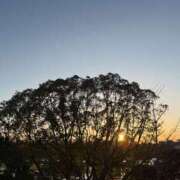 ヒメ日記 2026/02/18 20:21 投稿 Riko　Oomi PRECIOUS