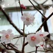 ヒメ日記 2026/02/24 22:21 投稿 Riko　Oomi PRECIOUS