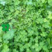 ヒメ日記 2026/04/10 22:11 投稿 Riko　Oomi PRECIOUS