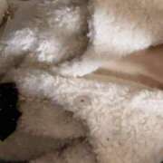 ヒメ日記 2026/01/21 22:56 投稿 高島うい 五反田 必要以上のエステ（シンデレラグループ）