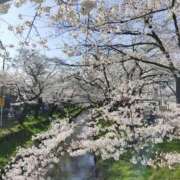 ヒメ日記 2026/04/20 08:32 投稿 ちなつ 前立腺マッサージ専門 もぐらのM性感 池袋店