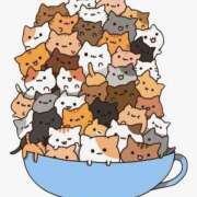 ヒメ日記 2026/02/22 08:30 投稿 えりな 奥様はエンジェル　国分寺店