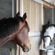 ヒメ日記 2026/04/11 12:15 投稿 えりな 奥様はエンジェル　国分寺店