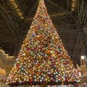 ヒメ日記 2025/12/24 12:37 投稿 らら 秋葉原鑑賞ガール