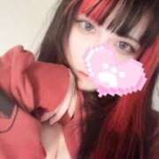 ヒメ日記 2025/12/24 10:07 投稿 リリム buzz-B