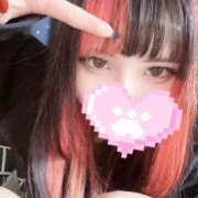 ヒメ日記 2025/12/29 19:01 投稿 リリム buzz-B