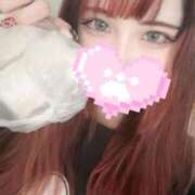 ヒメ日記 2026/01/01 12:16 投稿 リリム buzz-B