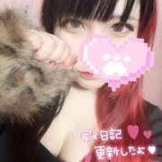 ヒメ日記 2026/02/04 18:24 投稿 リリム buzz-B