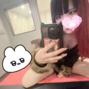 ヒメ日記 2026/02/05 13:00 投稿 リリム buzz-B