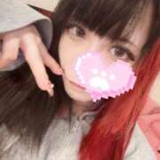 ヒメ日記 2026/02/19 12:48 投稿 リリム buzz-B