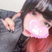 ヒメ日記 2026/04/08 07:01 投稿 リリム buzz-B