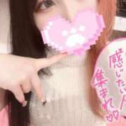 ヒメ日記 2026/04/13 17:02 投稿 リリム buzz-B