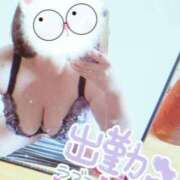 ヒメ日記 2026/05/04 10:39 投稿 ゆいな ぽっちゃりデリヘル倶楽部