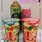 ヒメ日記 2026/03/04 21:42 投稿 変態マゾペットりな 本家激安店浜松NO1超激安デリヘル戦隊ぬけるんジャー