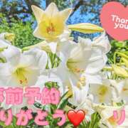 ヒメ日記 2026/03/31 18:25 投稿 変態マゾペットりな 本家激安店浜松NO1超激安デリヘル戦隊ぬけるんジャー