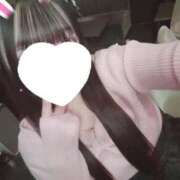 ヒメ日記 2025/12/23 13:09 投稿 にゃん サマンサ(和歌山)