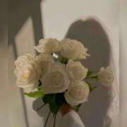 ヒメ日記 2025/12/23 08:50 投稿 歩都凛-ほとり- 人妻倶楽部 花椿大崎店