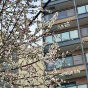 ヒメ日記 2026/03/27 22:07 投稿 すみれ スポコスkunkakunka