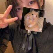 ヒメ日記 2026/01/13 02:22 投稿 かのん メンヘラ専門デリヘル ゼロワン 横浜本店