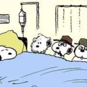 ヒメ日記 2026/02/15 20:12 投稿 かのん メンヘラ専門デリヘル ゼロワン 横浜本店