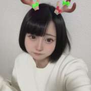 ヒメ日記 2026/01/17 15:08 投稿 ねこ先輩☆新人 ティンカーベル