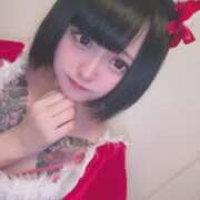 ヒメ日記 2026/02/12 16:59 投稿 ねこ先輩☆新人 ティンカーベル