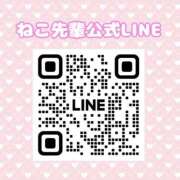 ねこ先輩☆新人 げんきー？ ティンカーベル