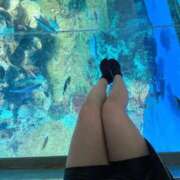 ヒメ日記 2026/04/27 20:12 投稿 めい（素人系Fカップ美少女） おクンニ天国～Rising Group～