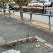 ヒメ日記 2026/02/27 17:00 投稿 鈴木なほ 五十路マダムエクスプレス横浜店（カサブランカグループ）